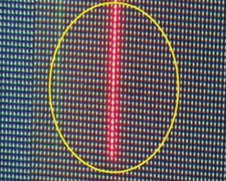 毛毛蟲(chóng)現(xiàn)像.png